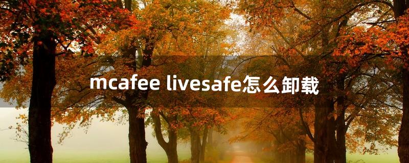 mcafee livesafe怎么卸载（mcafee是怎么手动卸载)